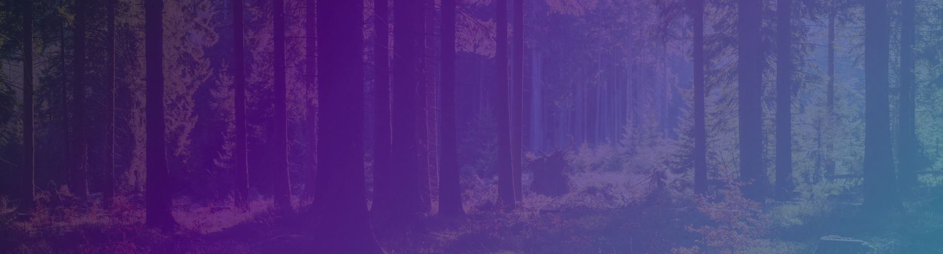 Website banner for HP Sustainable print solutions showing forest